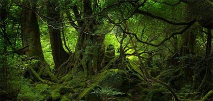 The World at Gunpoint: Or, What's Wrong with the Simplicity Movement