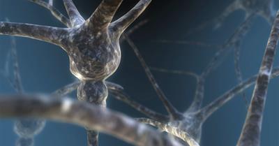 The Nerves Of Us 7-Minute Teaser Movie