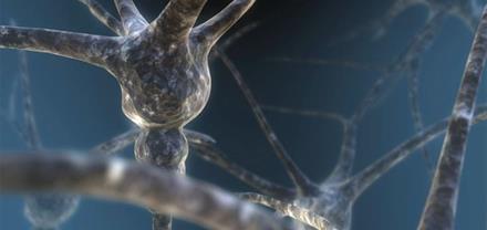 Origins Of The Nerves Of Us