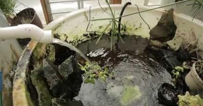 The Radix Center, ecological sustainability in the heart of Albany, NY