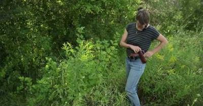 Wild native plants, the abundance all around us
