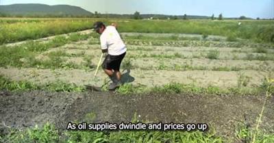 Les Jardins de Marie-Bio, a small-scale, organic farming incubator