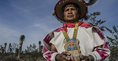 Huicholes: The Last Peyote Guardians