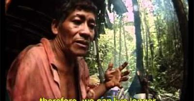 Shamans Of The Amazon