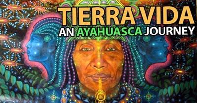 Tierra Vida: An Ayahuasca Journey