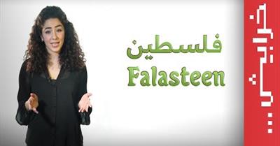 The Real Truth About Palestine in Response to Danny Ayalon