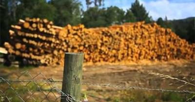 Bio Bio River the second Chapter about this beatiful place in Chile