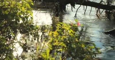 The third and final episode of a beautiful place anda big river in the south of Chile