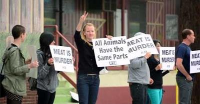 Get Happy: Victories for Animals in 2013