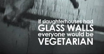 Glass Walls by Paul McCartney