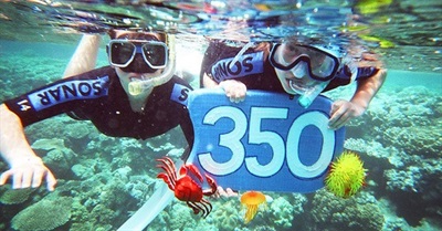 Do the math: There are too many cows!