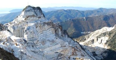 New Year's Newsletter