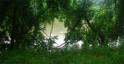 Usage of "Conspiracy Theorist" as Ad Hominem Attack