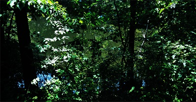 Better Go to the South Pacific Islands While You Still Can