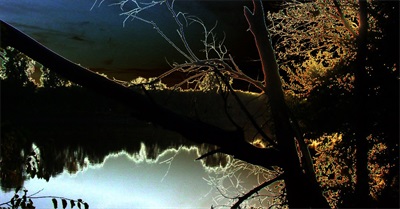 Laughing All the Way to the Cliff