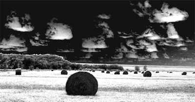 The Real Consequences of Population Overshoot