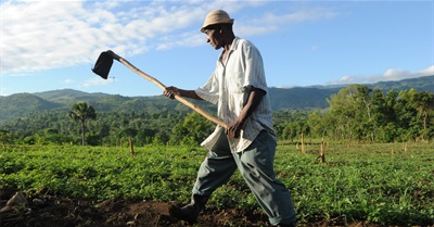 How Vast Amounts of Land Have Been Stolen From Black Americans