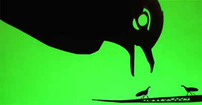 Coded Vibrations & Signal Jamming – The Secret Language of Treehoppers