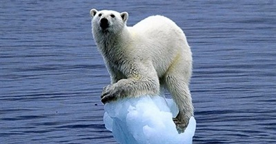 We Can Do So Much Better than Adaptation Or Resilience. Let's Focus On Building The World We Want.