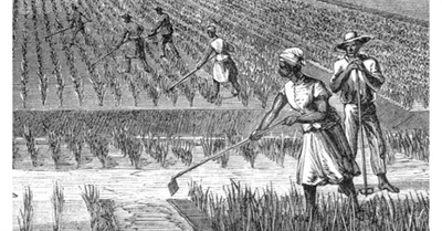 These Are Words Scholars Should No Longer Use to Describe Slavery and the Civil War