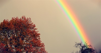 The Limits of Utopia