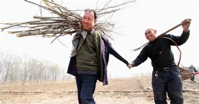 Blind Man and His Armless Best Friend Have Planted Over 10,000 Trees in China