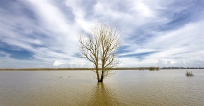 Our Society Is Living a Massive Lie About the Threat of Climate Change -- It's Time to Wake Up