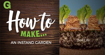 How to Build an Instant Garden