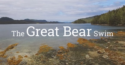 The Great Bear Swim