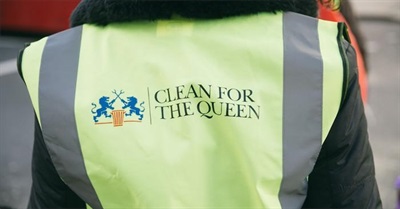 I'm Not Cleaning for the Queen!