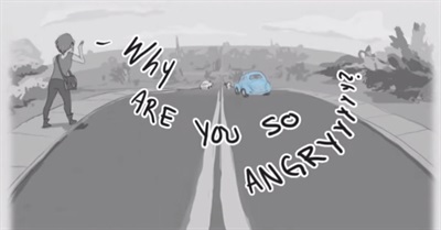 Why Are You So Angry? An Exploration of Internet Harasment and Hate Campaigns