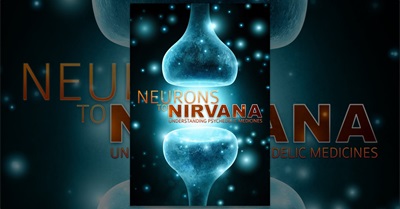 Neurons to Nirvana