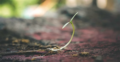 Believe in Yourself and You Will Make This World a Better Place