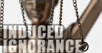 Induced Ignorance: Why Politicians Keep Making the Same Mistakes