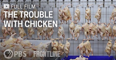 The Trouble With Chicken