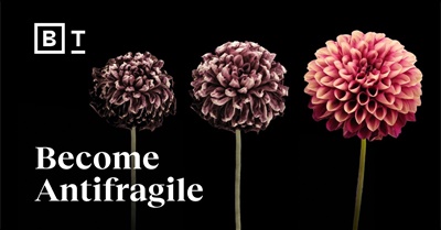 Don’t Chase Happiness. Become Antifragile | Tal Ben-Shahar