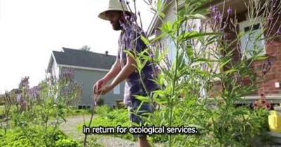 Écomestible: Edible Landscaping and Urban Permaculture