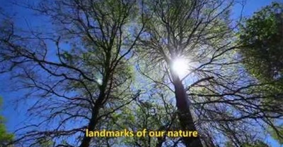 BUTALEBU  Chilean Big River (subtitled)