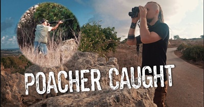 How To Catch Bird Poachers / Volunteering in MALTA