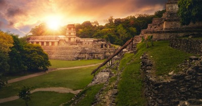 There Is Life After Civilization Collapse