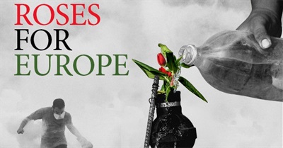 Roses for Europe
