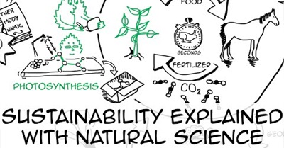 Defining Sustainability and Discovering the Root Causes of Unsustainability