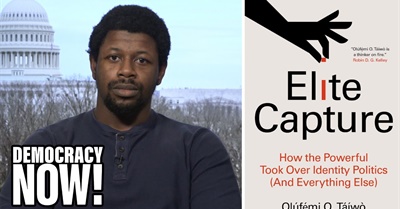 Elite Capture: How the Powerful Took Over Identity Politics |  Olúfẹ́mi O. Táíwò