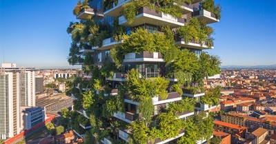 When Trees Meet Buildings