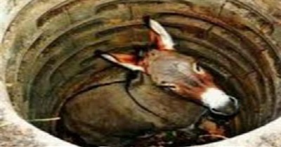 Clinton Email Investigation Timeline