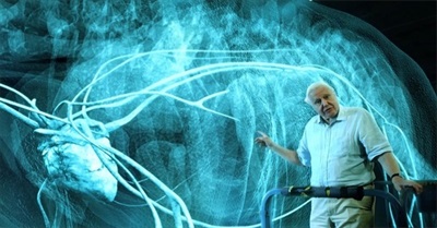 George Monbiot Meets David Attenborough: 'Environmentalism Is a Duty, Not an Interest'