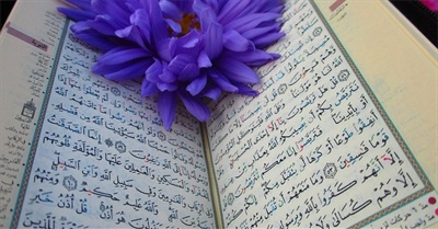 Learn Quran Online With Tajweed: a Step-By-Step Guide