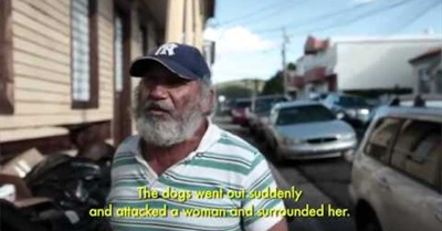 100,000 a story of feral dogs in Puerto Rico