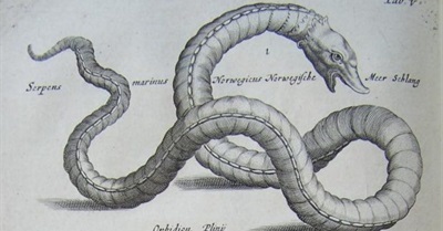 2016: Year of the Serpent