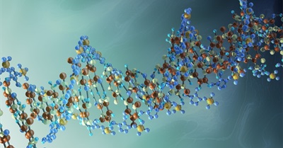 Study of Holocaust Survivors Finds Trauma Passed on to Children's Genes